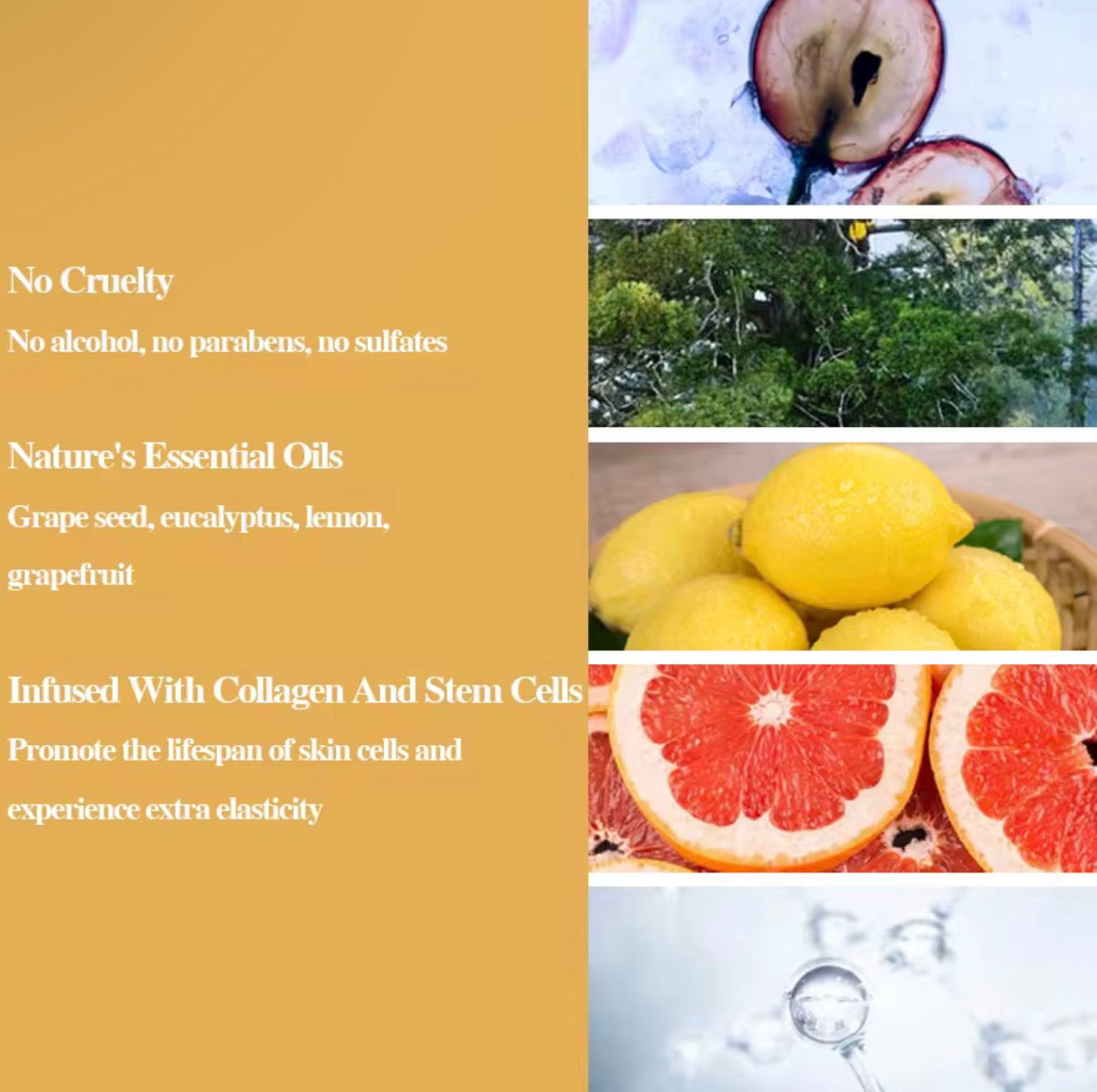 Anti Cellulite Öl